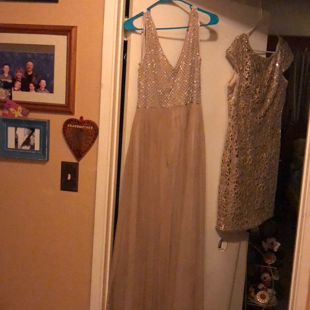 2 party or formal dresses. The same designer